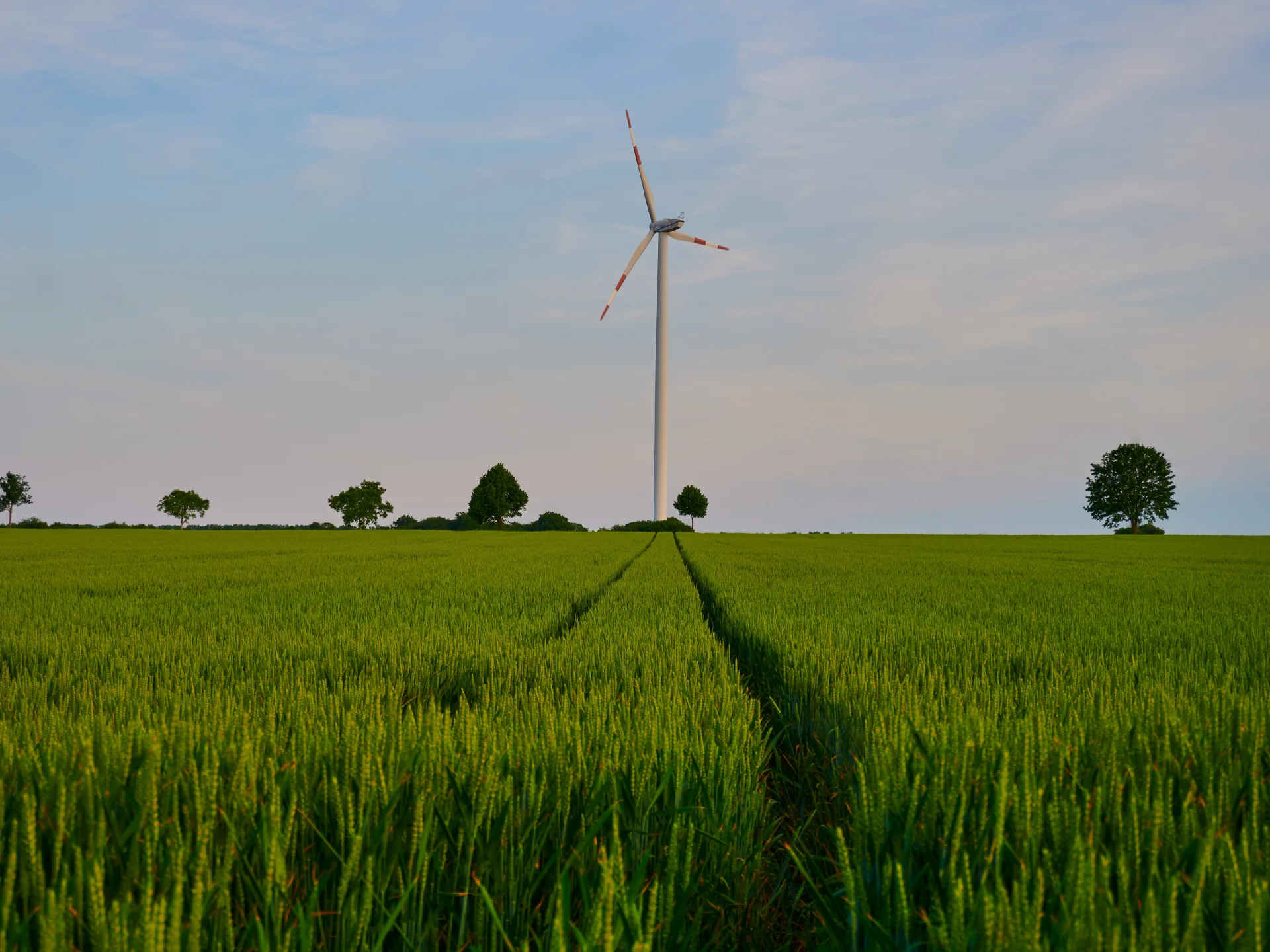 Eine Windenergieanlage steht auf einem grünen Feld unter weitem Himmel. Das Bild steht für Nachhaltigkeit als Zukunftsthema in der Beratung von Genossenschaftsbanken.
